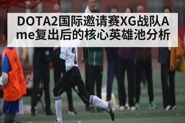 DOTA2国际邀请赛XG战队Ame复出后的核心英雄池分析